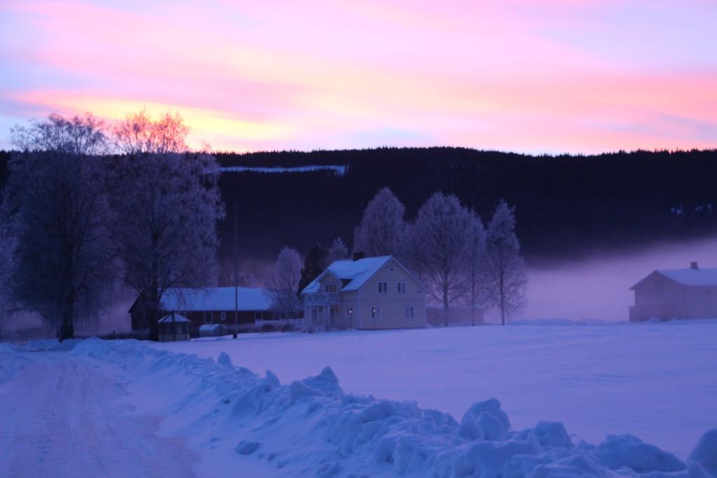 Bjoerkebo Camping Stöllet Exteriér fotografie