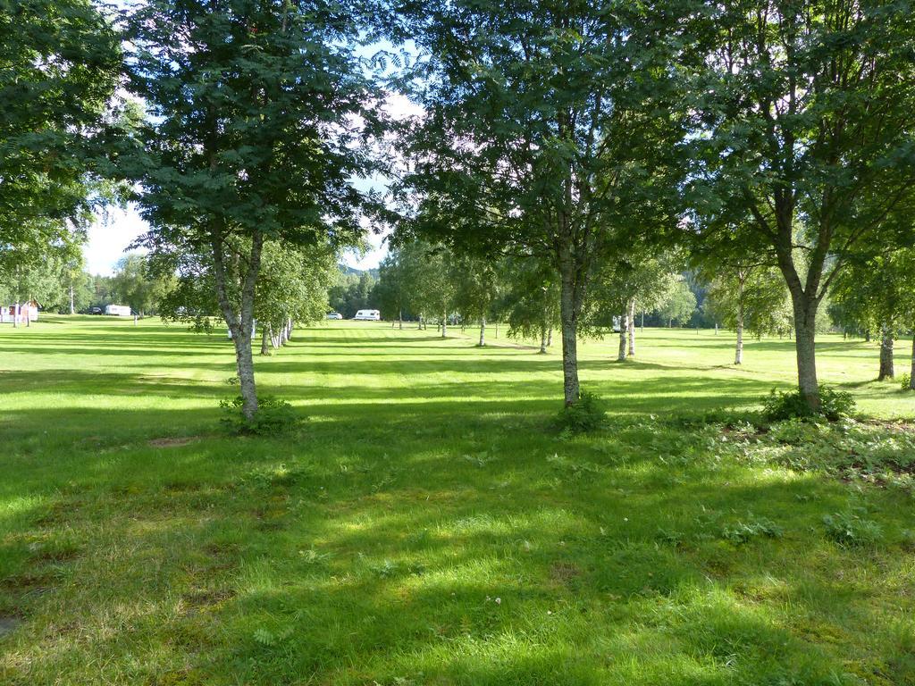 Bjoerkebo Camping Stöllet Exteriér fotografie